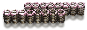 TODA RACING Honda S2000 F20C/F22C/K20A Up Rate Valve Springs